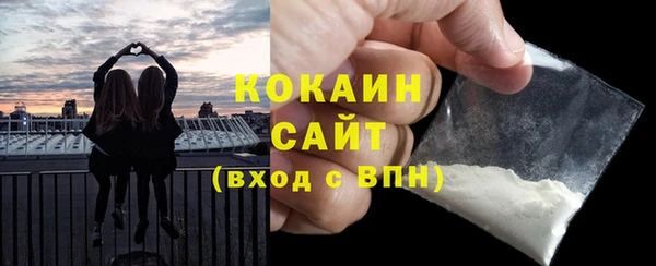 винт Алексин