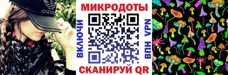 Галлюциногенные грибы Psilocybe  хочу наркоту  Гусь-Хрустальный 
